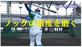 野球ノック上達法dvd キャッチャーフライ打ち方など ポイント実演解説 上達法 改善法購入サイト