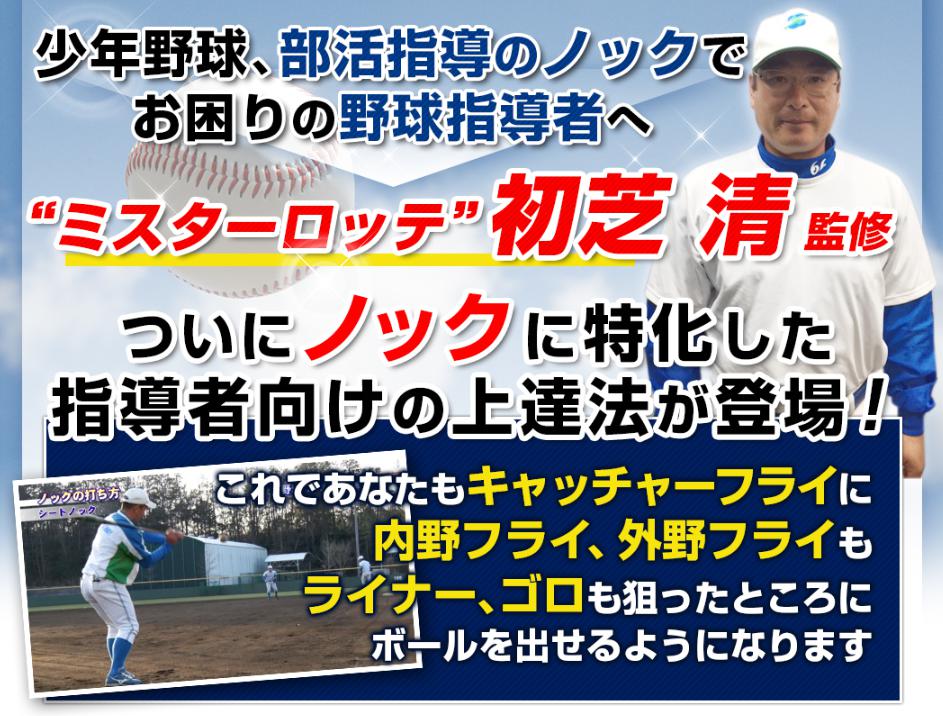 野球ノック上達法dvd キャッチャーフライ打ち方など ポイント実演解説 上達法 改善法購入サイト